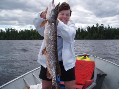 Northern Pike