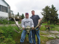 Moose Skull and Antlers found in Pineneedle Bay