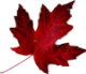 Fishing Canada's Legandary Trophy Waters