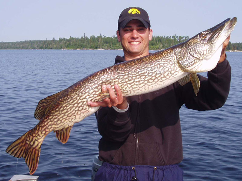 Best Northern Pike Fishing Trips & Tips 2024: Ontario, Canada